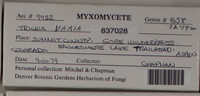 Image Associated With the Occurence